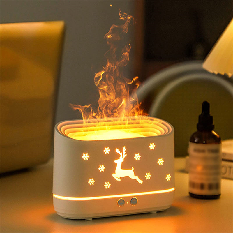 Diffuser & Humidifie